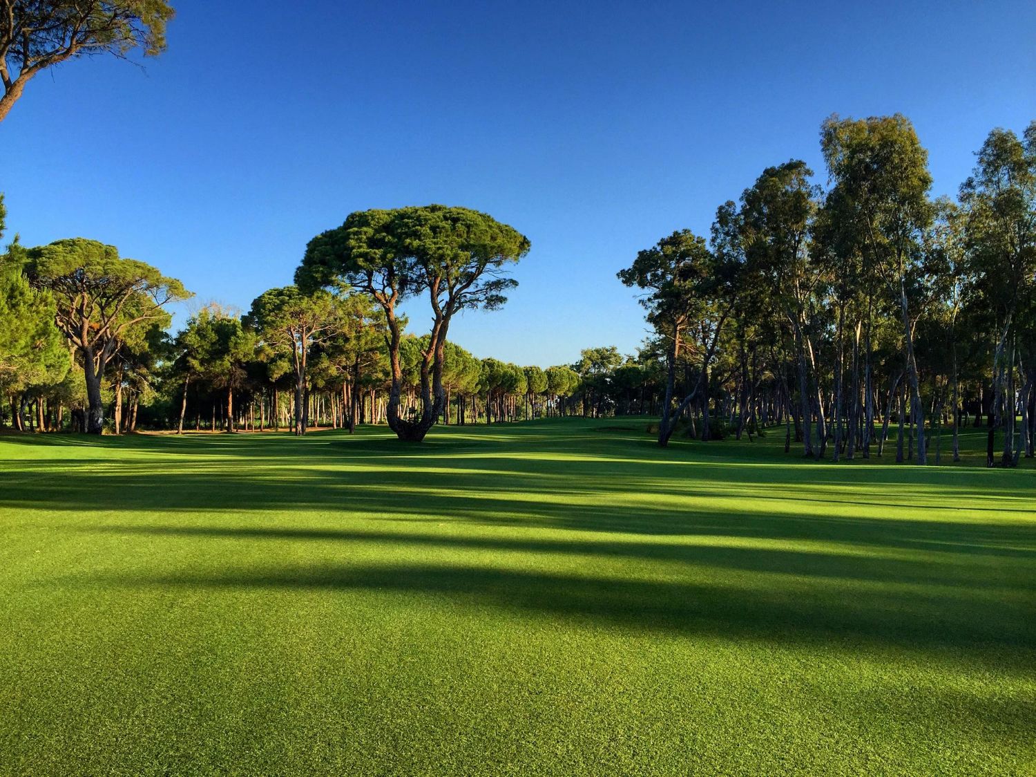 Kaya Palazzo Golf Course 01 All Inclusive Golfreisen